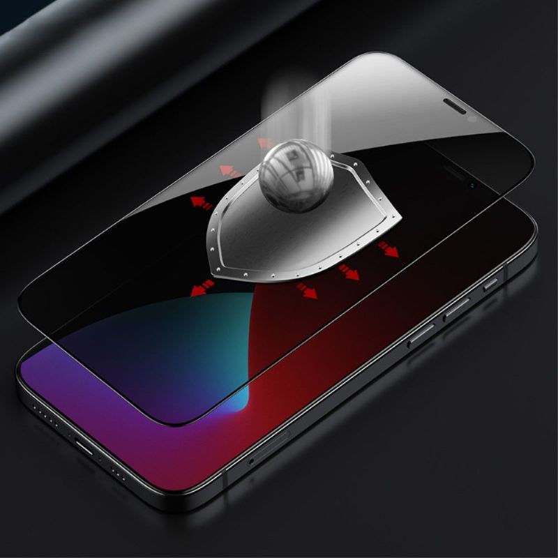 iPhone 12 / 12 Pro Displayschutzfolie Aus Gehärtetem Glas & Blickschutzfilter