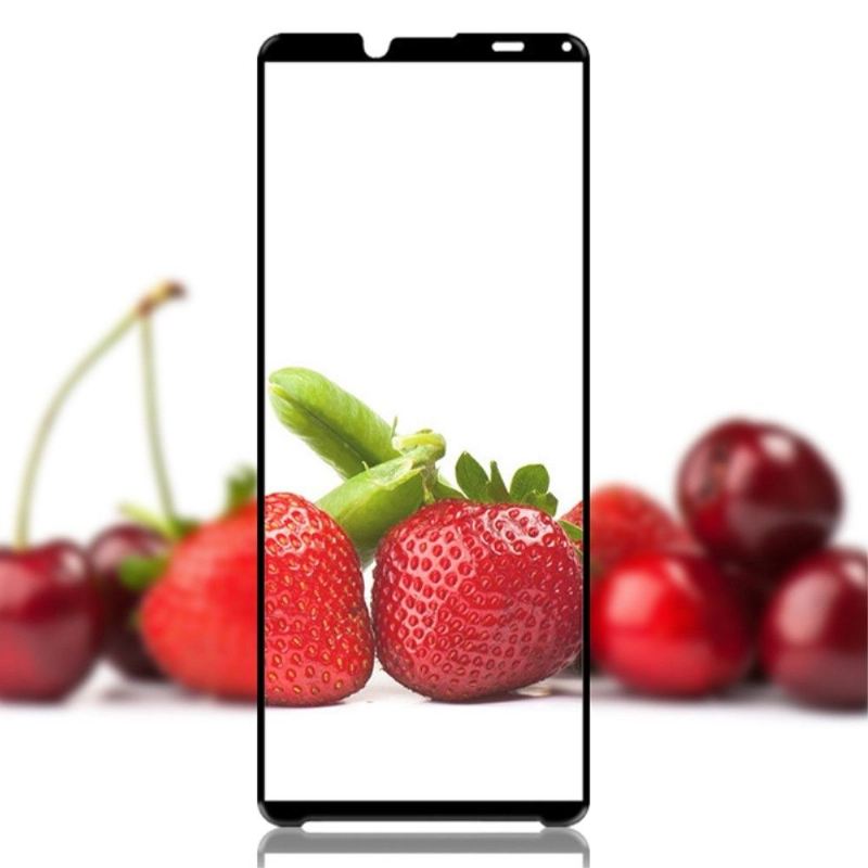 Sony Xperia 10 Iv Displayschutzfolien Aus Gehärtetem Glas In Voller Größe (2 Stück)